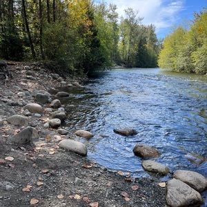 Meet your Posher, Martina